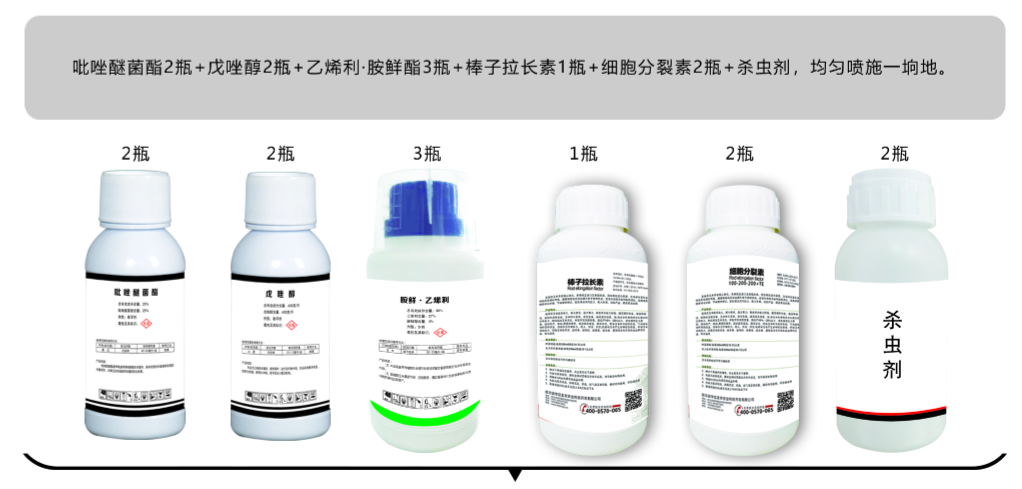 QQ截圖20220620135558.png